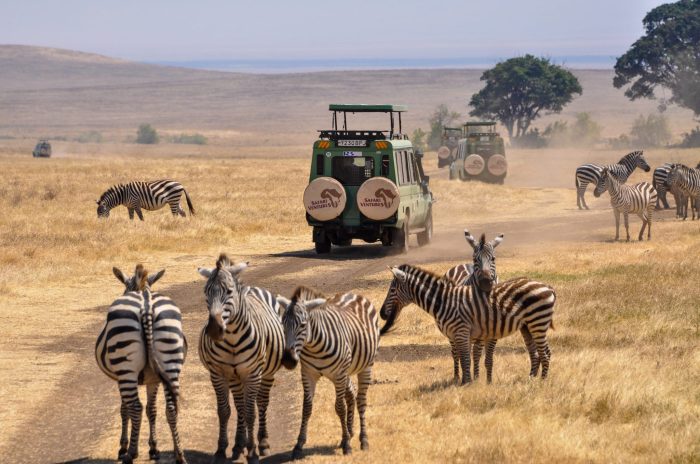 Uganda safari safaris tours days travel safe safety national park abroad kenya Uganda safari safaris tours days travel safe safety national park abroad kenya